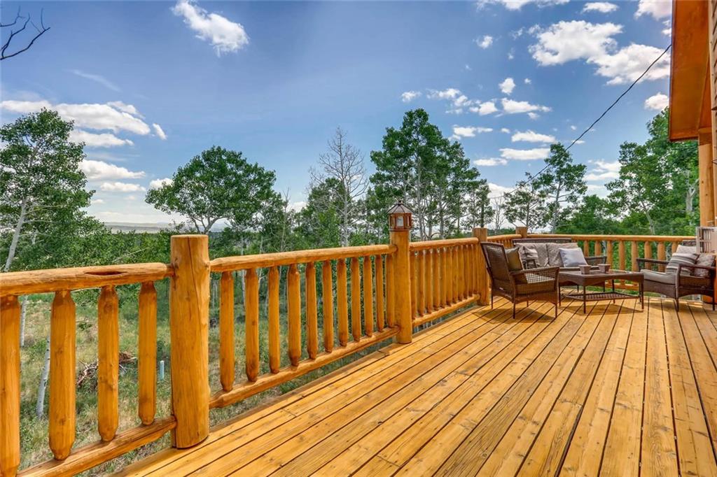 717 Vine Road Fairplay, CO 80440 - Photo 22 of 25 Gallery Image 22