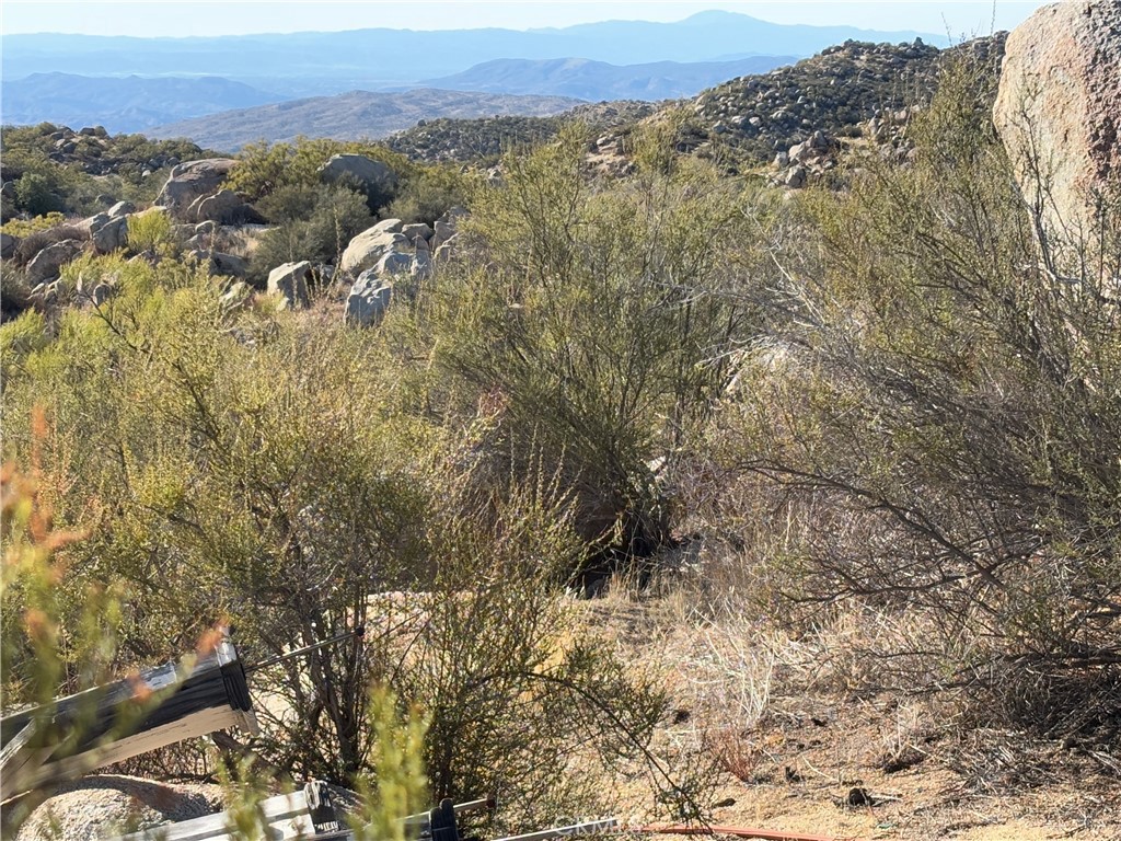 777 Ridgecrest Trail Aguanga, CA 92536 - Photo 13 of 28 a view of a forest with mountains in the background