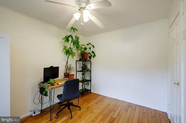 a workspace with furniture and a potted plant