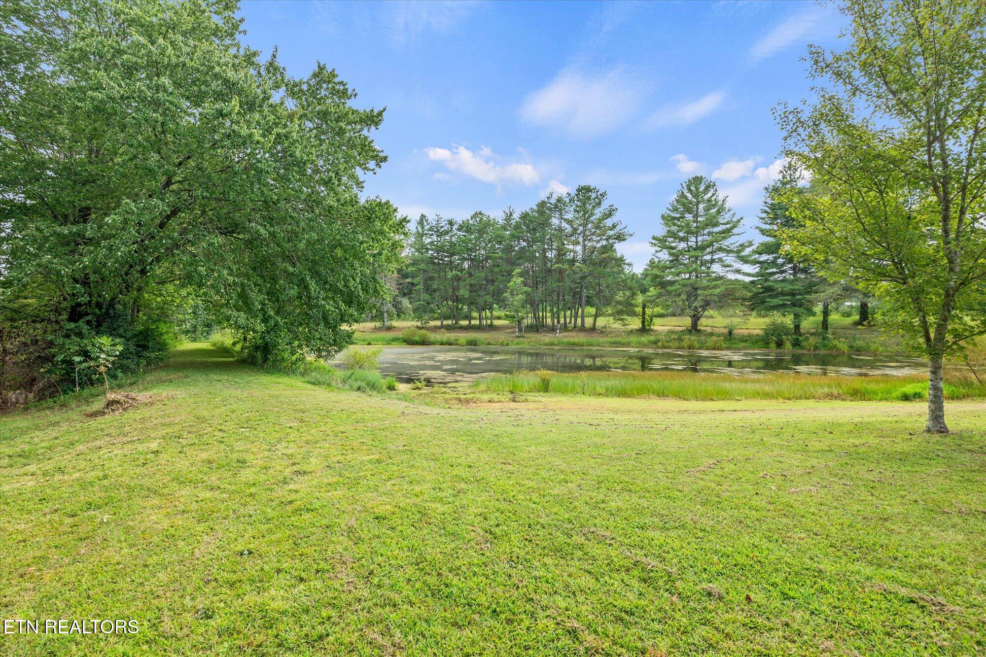 08-114 Bellview Rd, Pikeville_6403