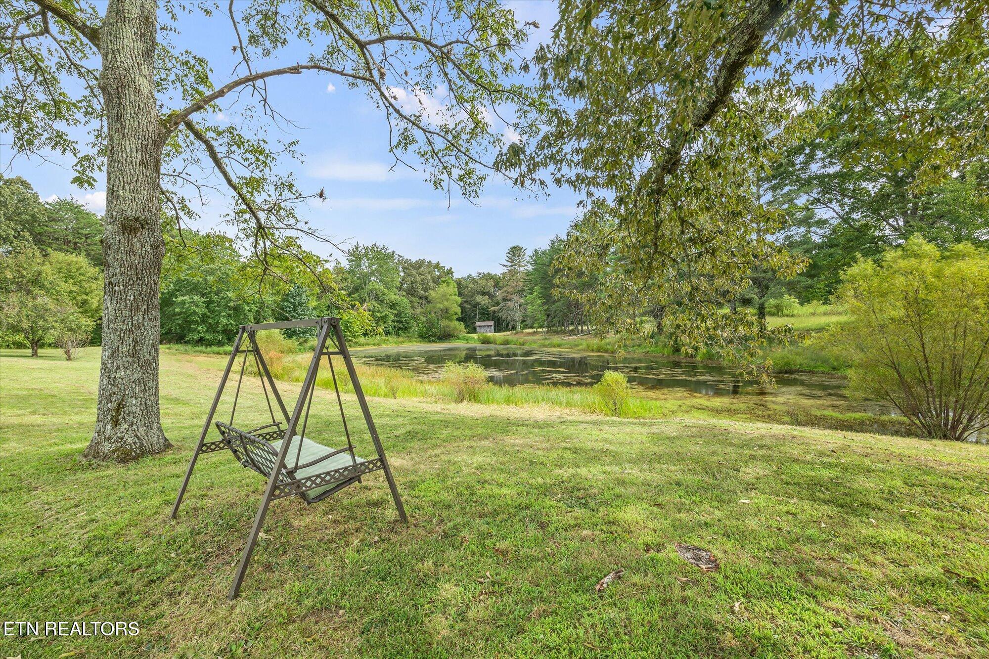 12-114 Bellview Rd, Pikeville_6423