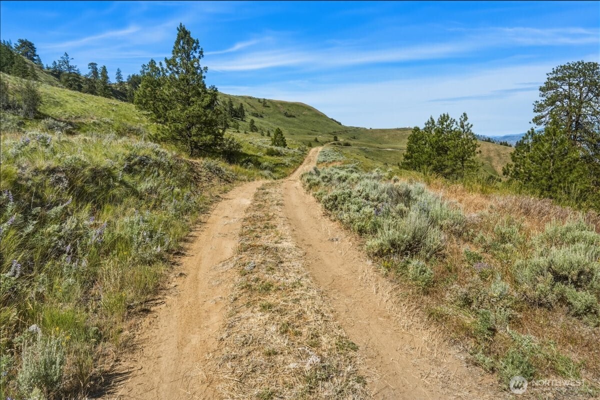 85 Eagles Nest Road Orondo, WA 98843 - Photo 6 of 36