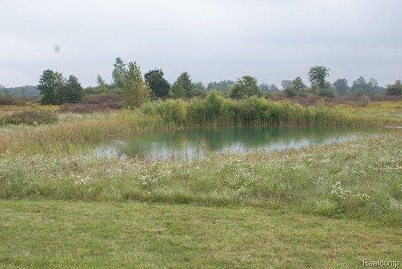 5400 Capac Road Capac, MI 48014 - Photo 21 of 22 DSC04326