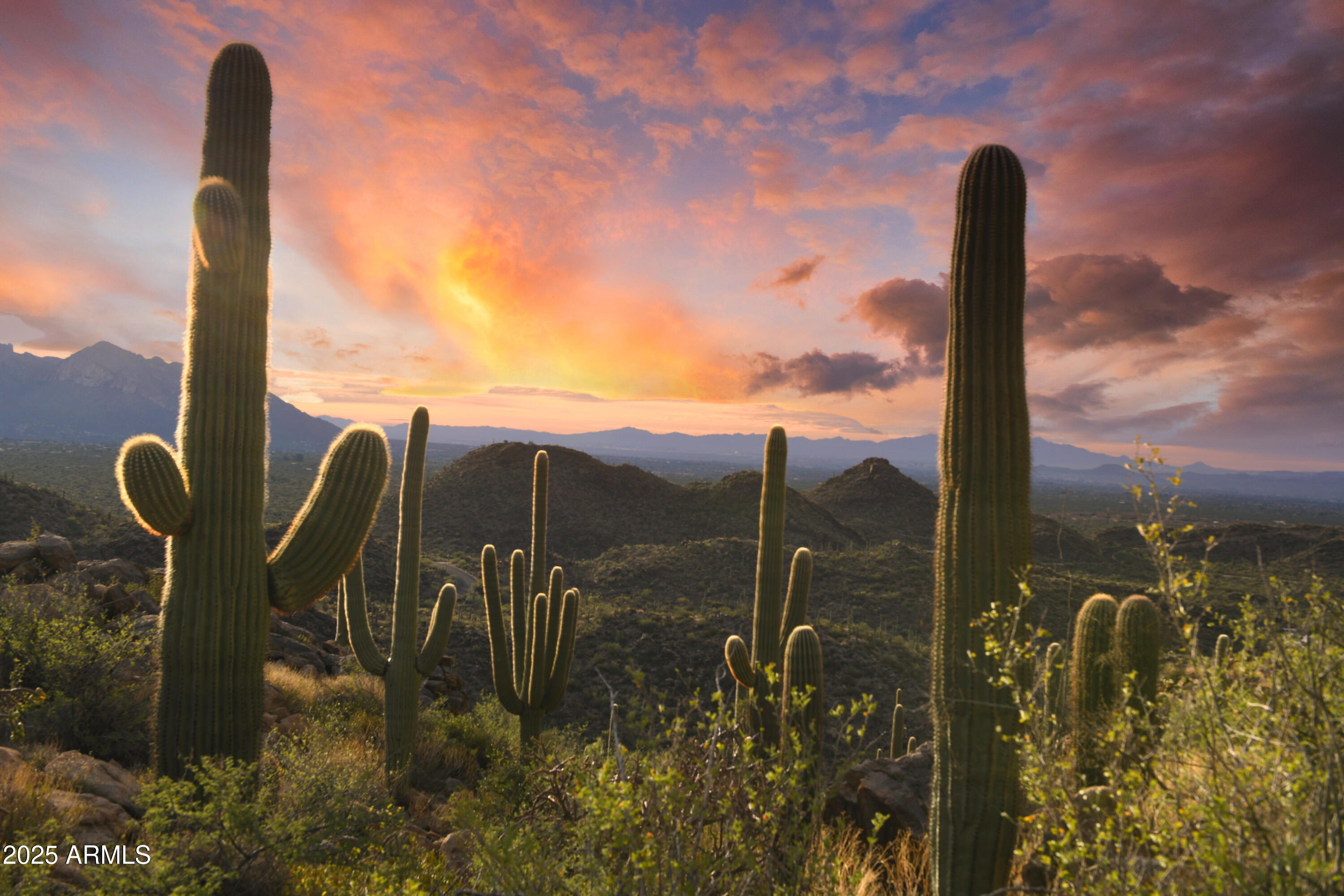 14470 North Old Ranch House Road, Unit 2 Marana, AZ 85658 - Photo 17 of 28 Arizona Sunsets