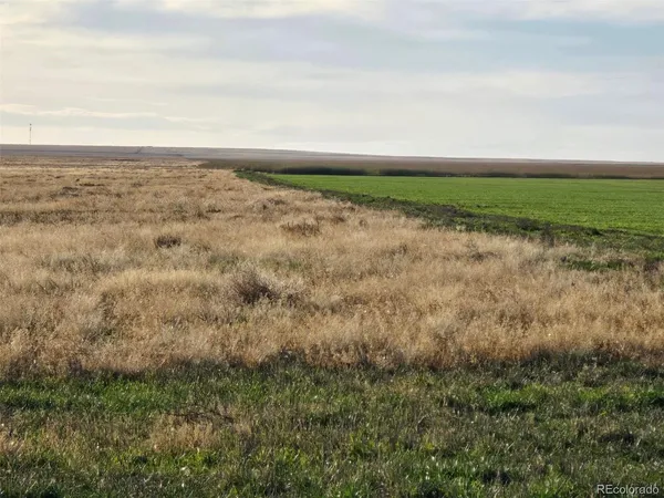 a view of an ocean beach