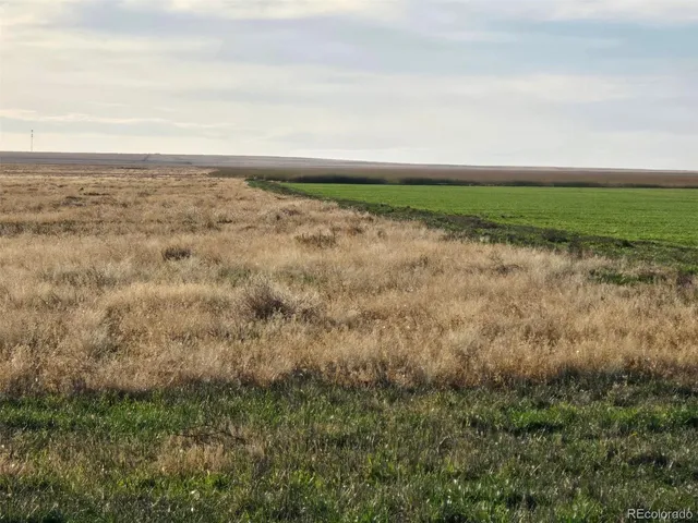 a view of an ocean beach