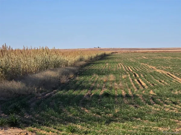 a view of lake with green space