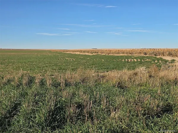 a view of lake and mountain
