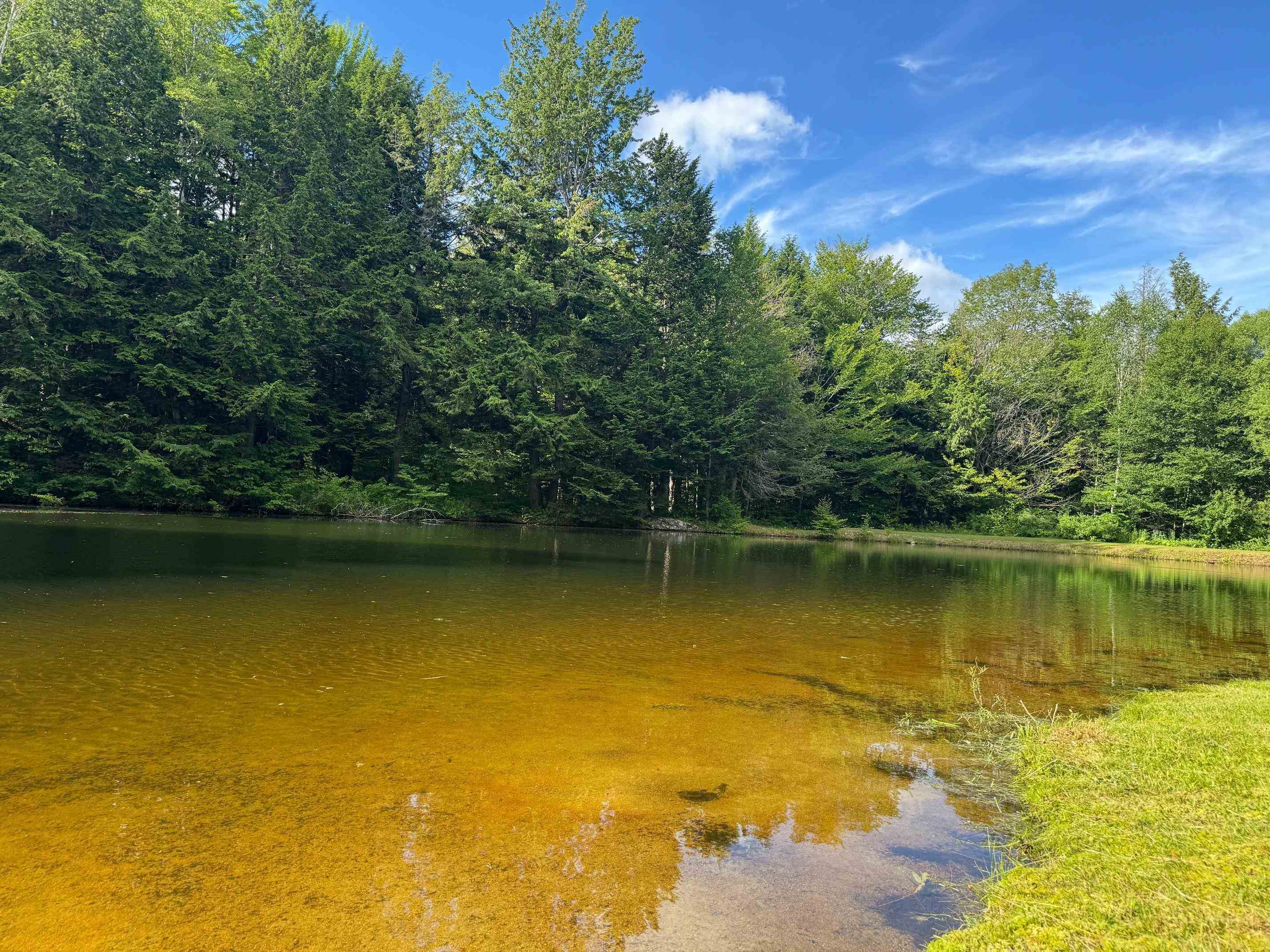 204 High Rdg Road West Windsor, VT 05037 - Photo 43 of 48
