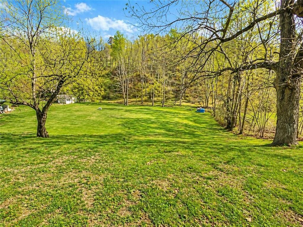 101 Fishpot Road Fredericktown, PA 15333 - Photo 20 of 21 a view of a trees with a yard