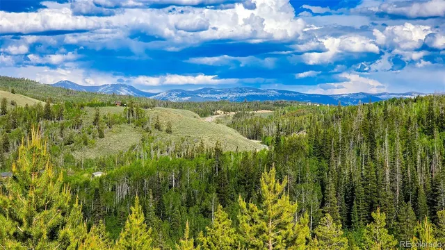 a view of a bunch of trees