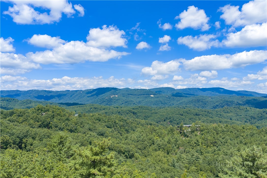 Lot 261 Red Cedar Road Boone, NC 28607 - Photo 1 of 47 Gallery Image 1