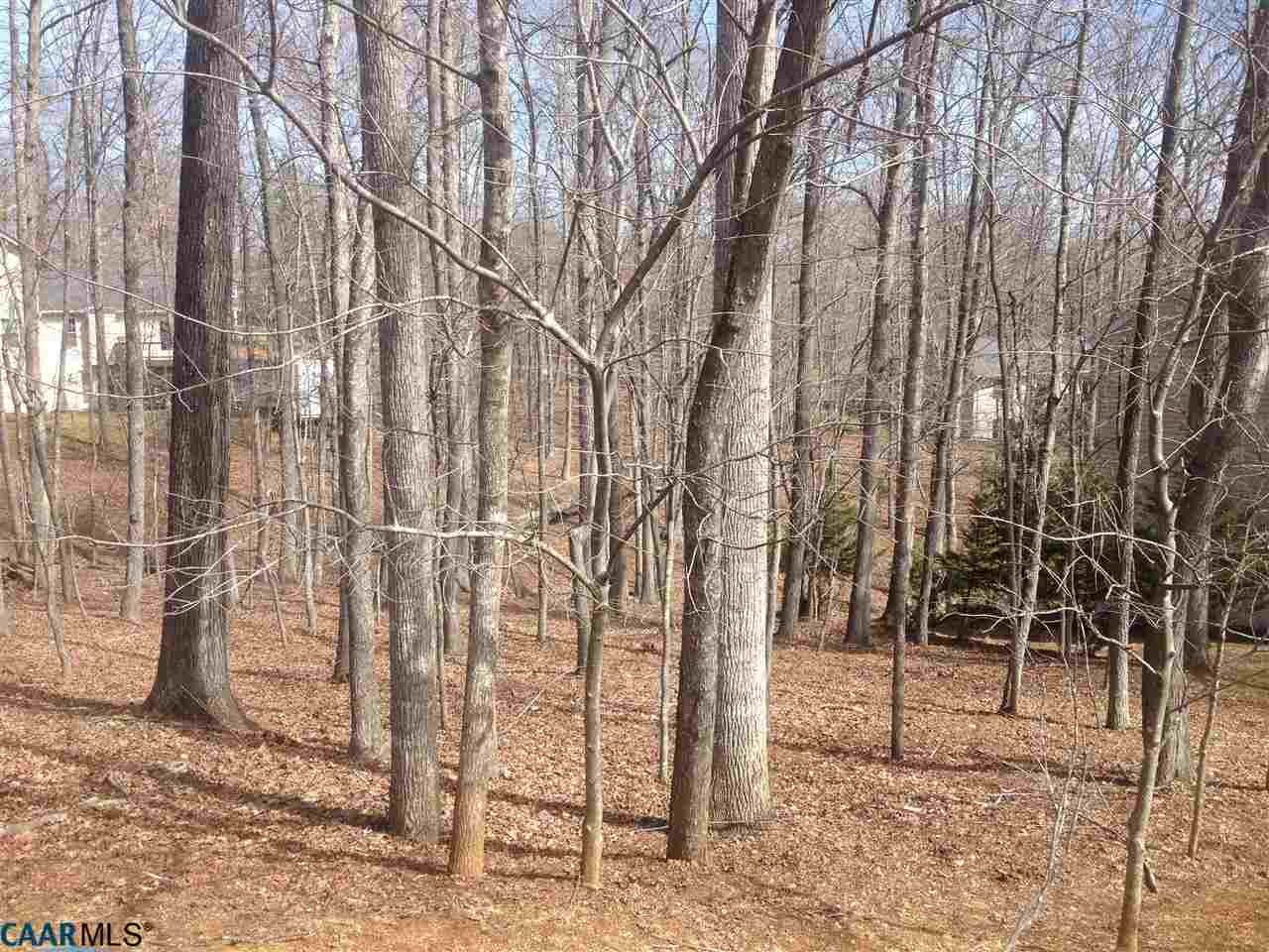 47 Amethyst Road Palmyra, VA 22963 - Photo 2 of 4 a backyard of a house with lots of green space