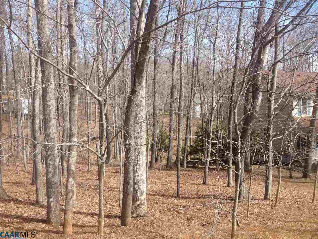 47 Amethyst Road Palmyra, VA 22963 - Photo 3 of 4 a view of a forest