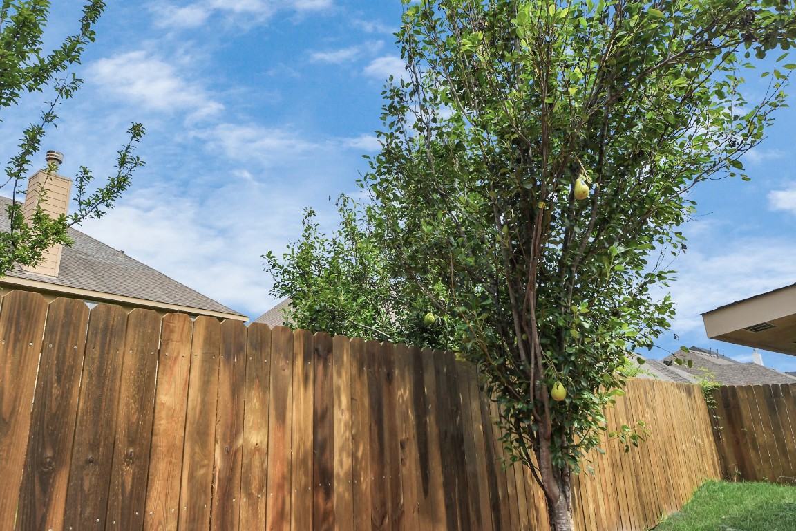 6803 Chapelfield Lane Houston, TX 77049 - Photo 48 of 50 a view of a backyard with wooden fence