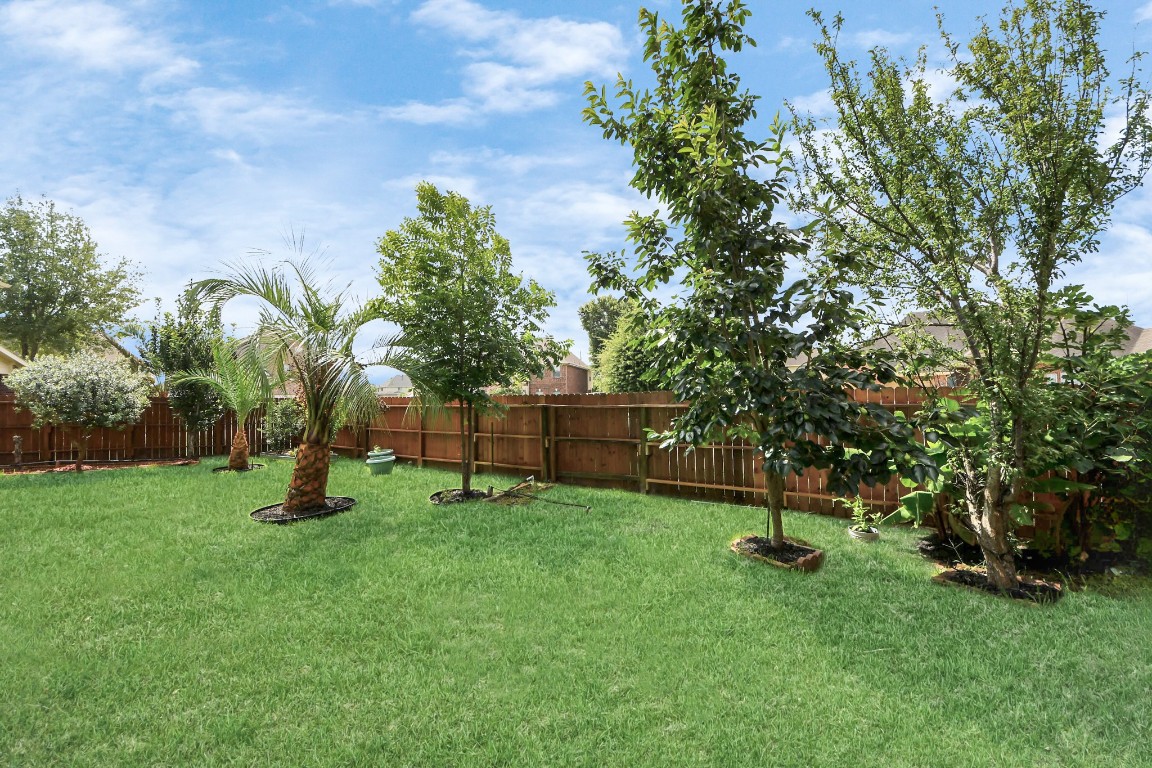 6803 Chapelfield Lane Houston, TX 77049 - Photo 49 of 50 a view of a park with a tree