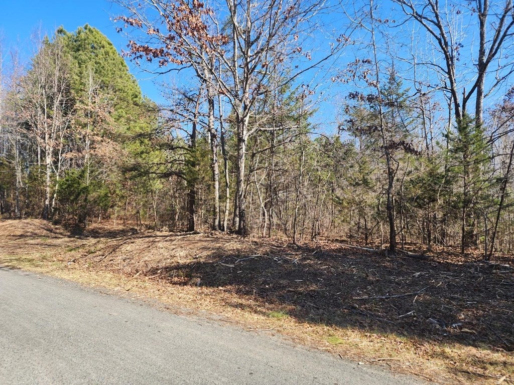 Cutbanks Road Prospect, VA 23960 - Photo 3 of 3 Gallery Image 3