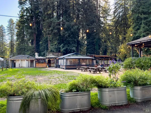 a view of a swimming pool with a garden and trees
