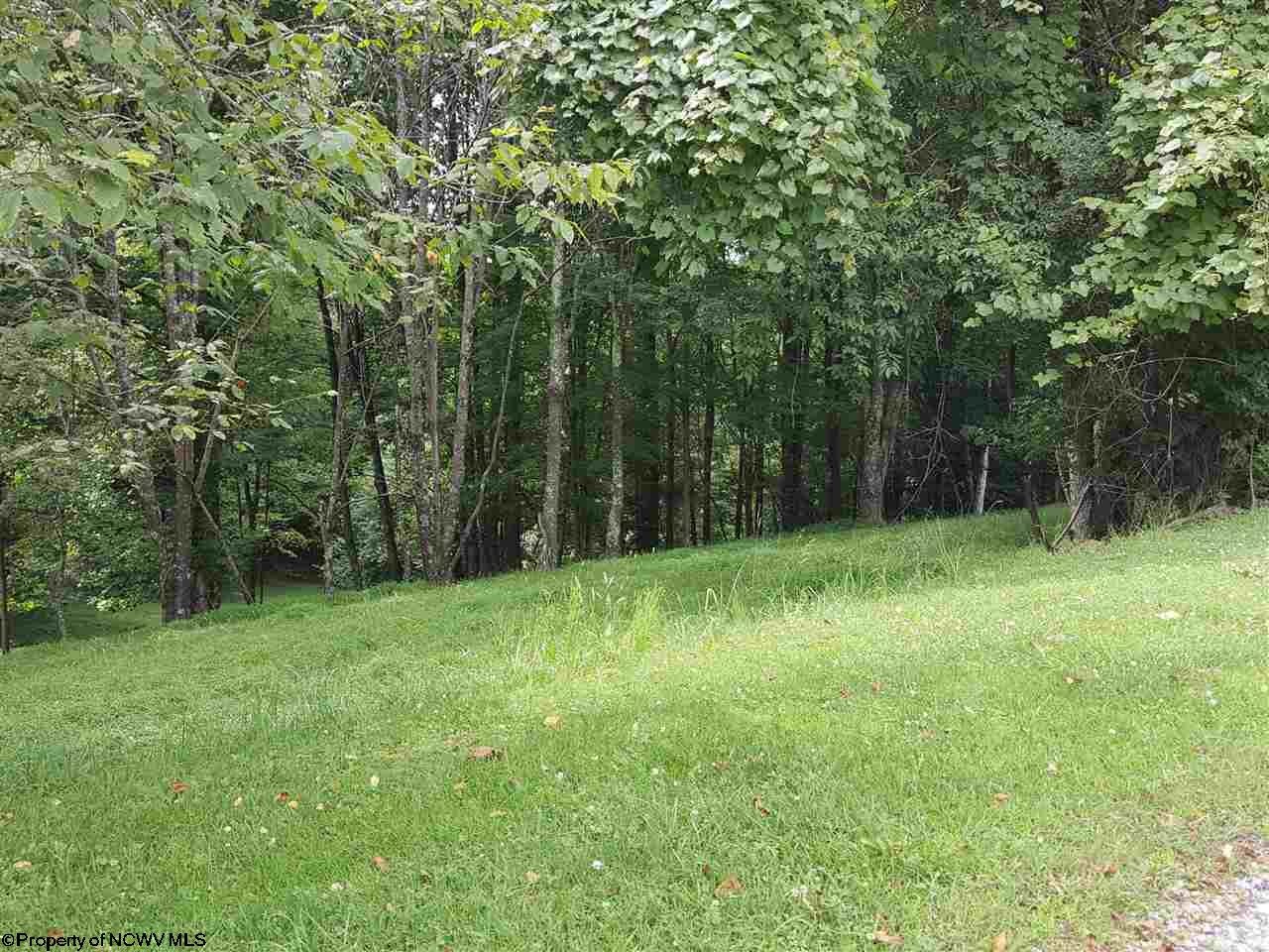Lot 12 Ridgeview Buckhannon, WV 26201 - Photo 7 of 7 Gallery Image 7