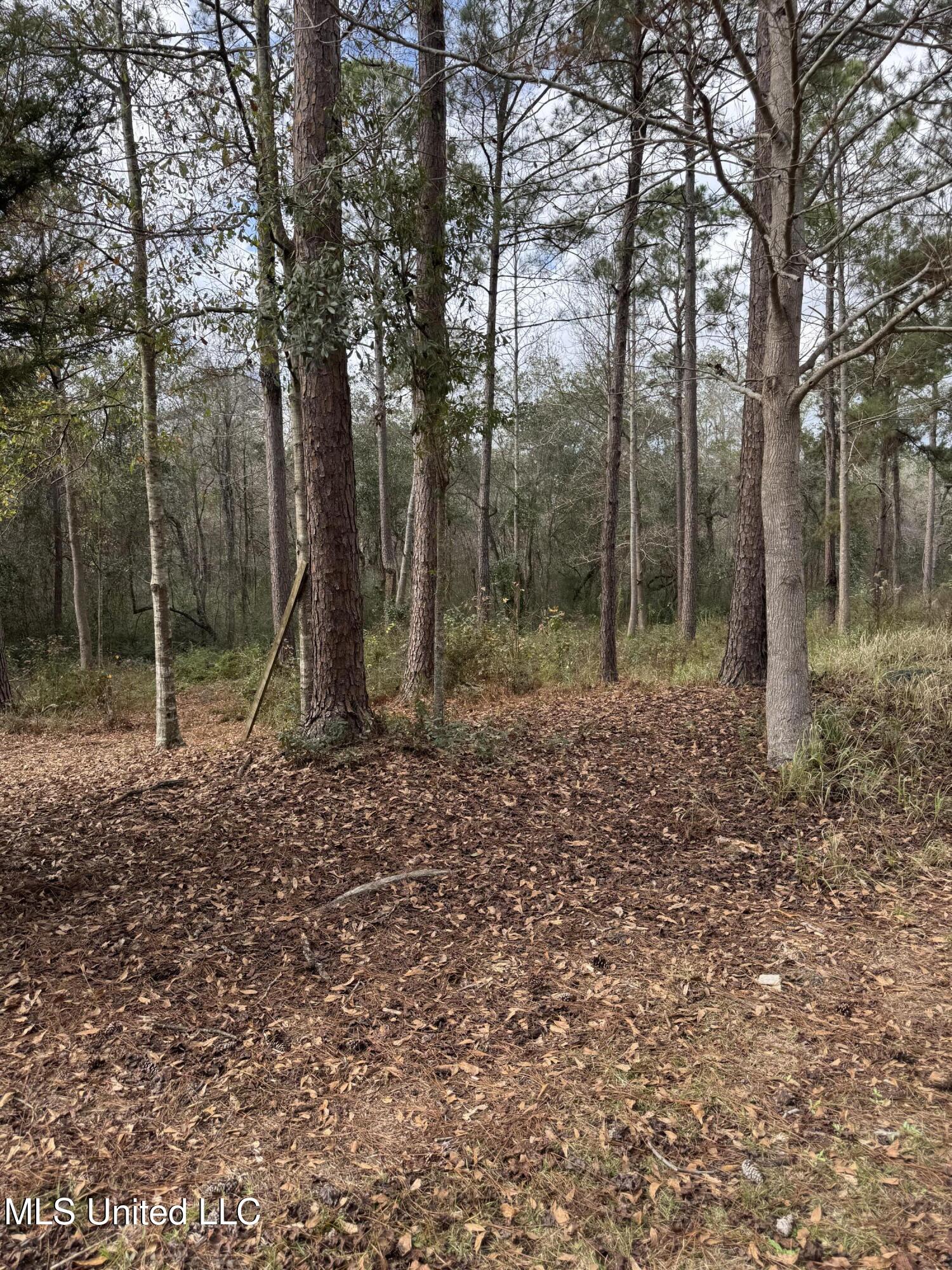 12876 Indian Springs Road Picayune, MS 39466 - Photo 35 of 39 IMG_5844