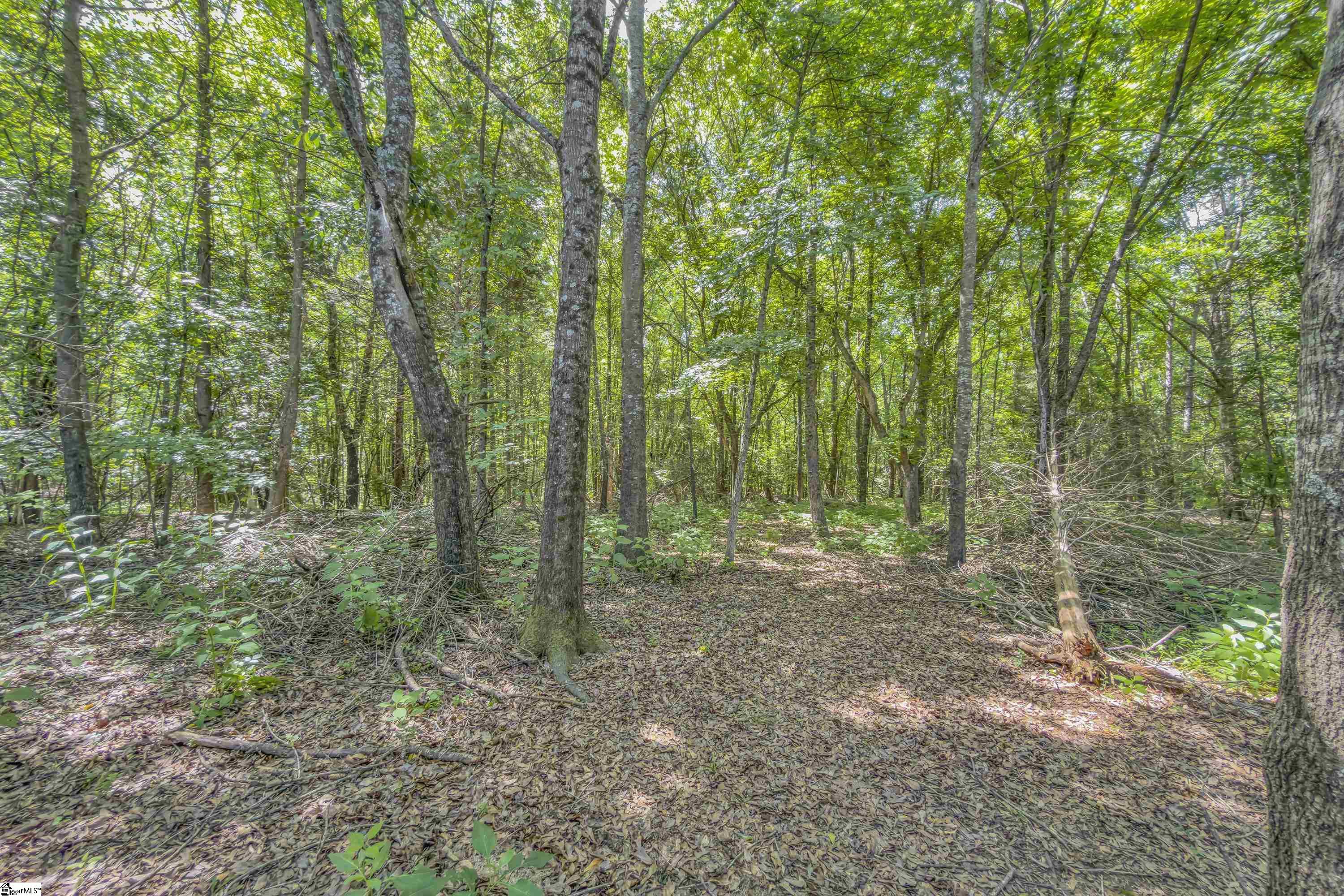 43 Tippecanoe Street Simpsonville, SC 29680 - Photo 32 of 36