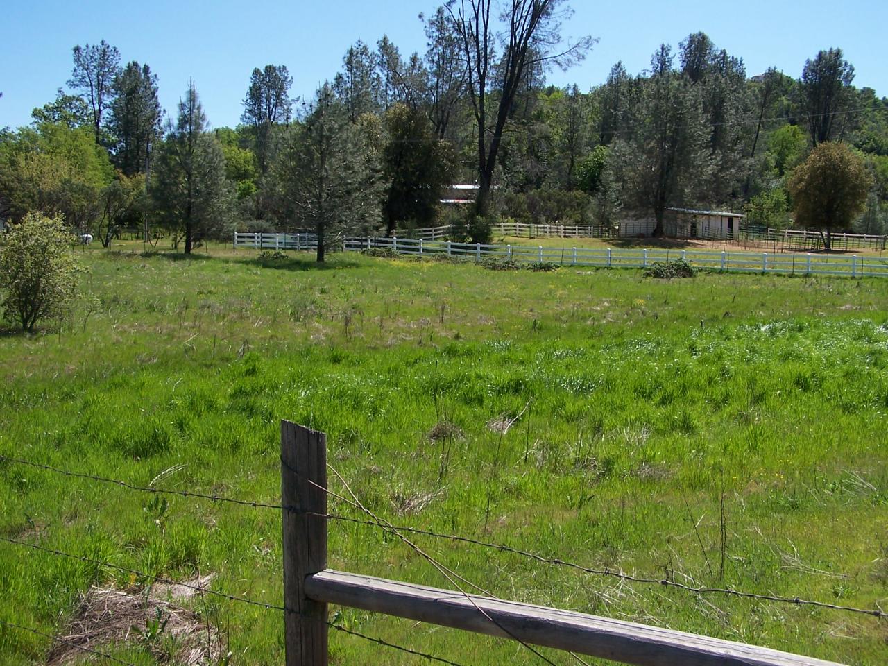 15925 Lower Springs Road Redding, CA 96001 - Photo 21 of 21 Front Pasture in Sprngtime