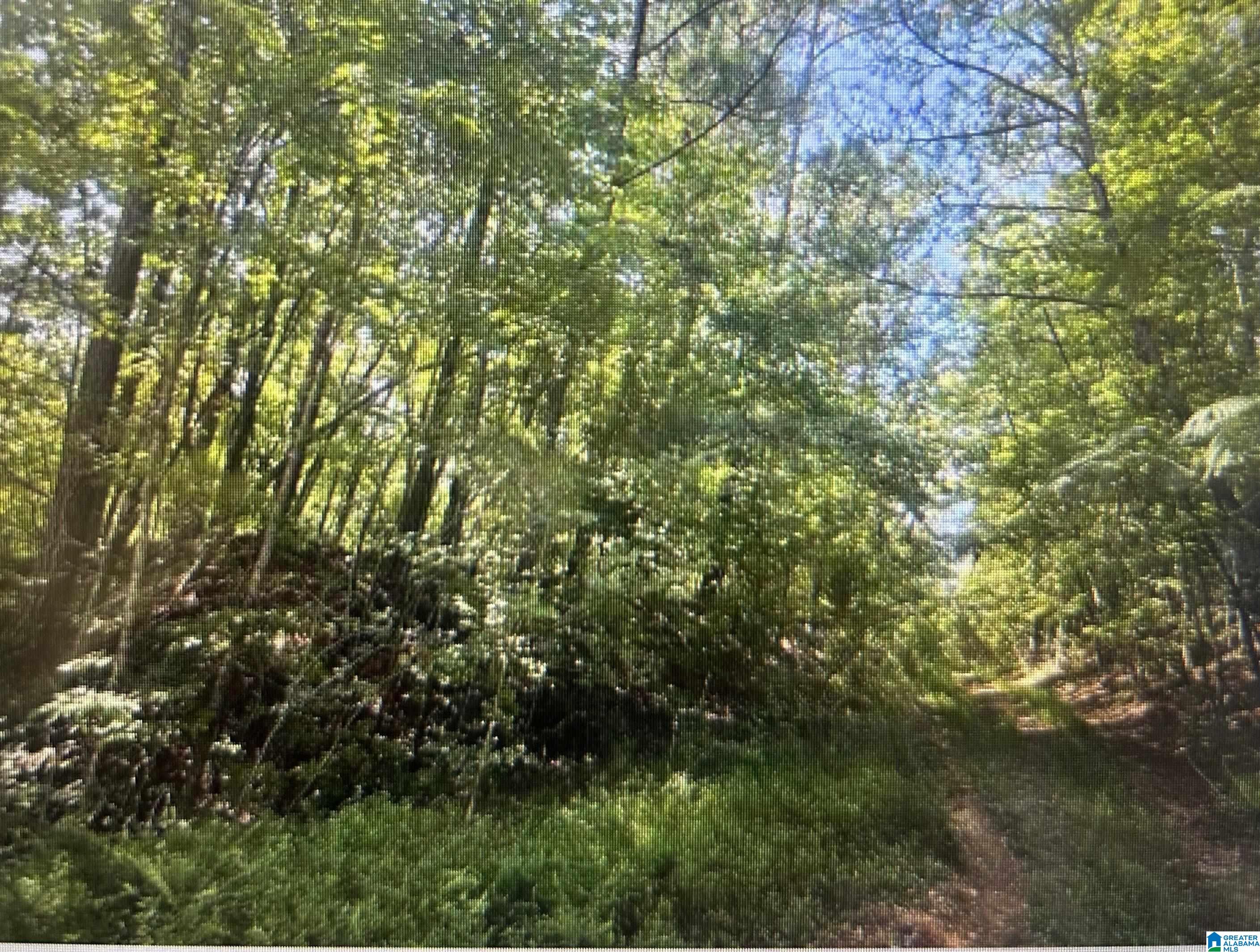 0 Gemini Circle, Unit LOT 53 Alpine, AL 35014 - Photo 3 of 4