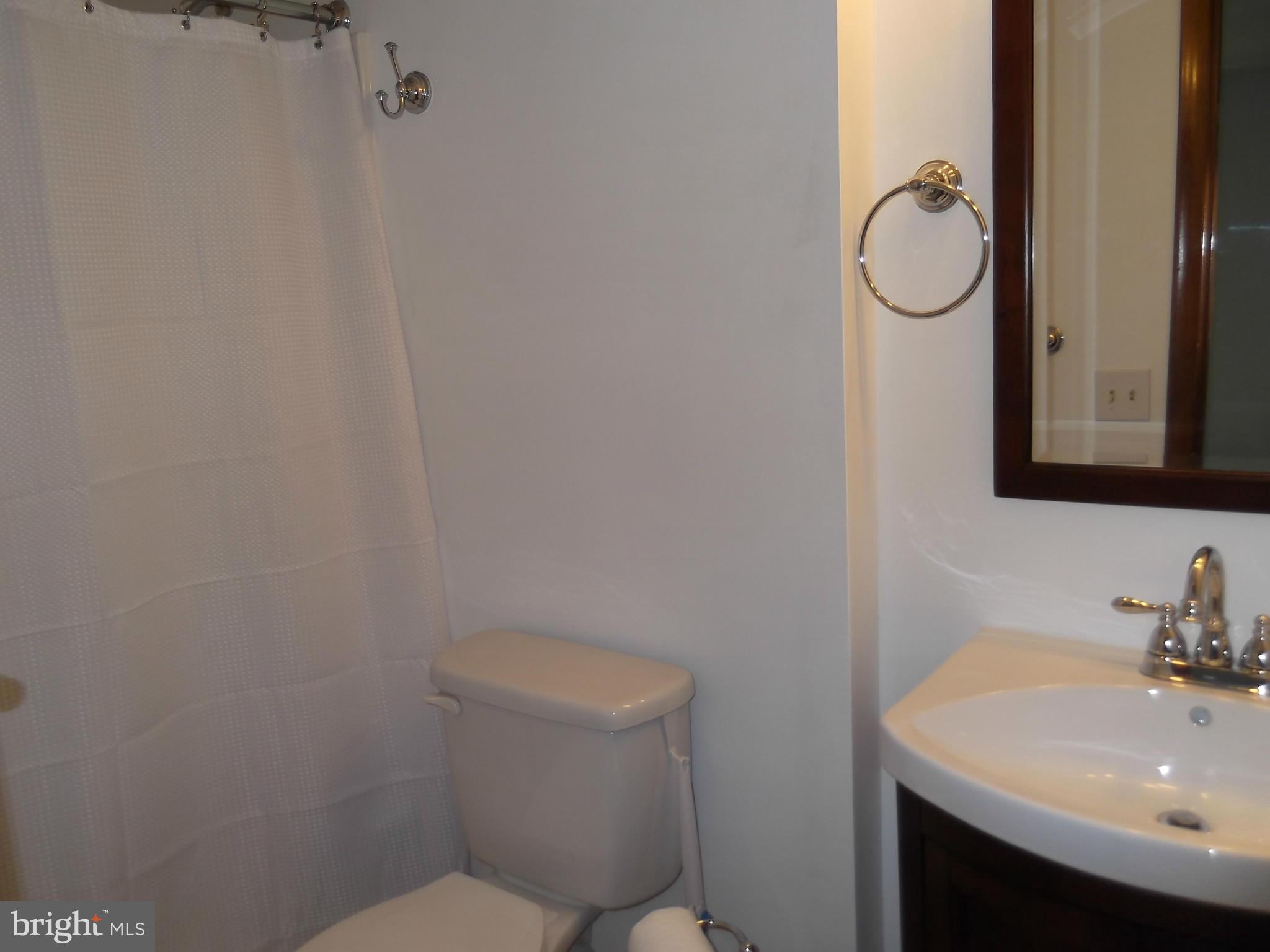 28249 Mine Run Road Rhoadesville, VA 22542 - Photo 19 of 26 Bath (Master)