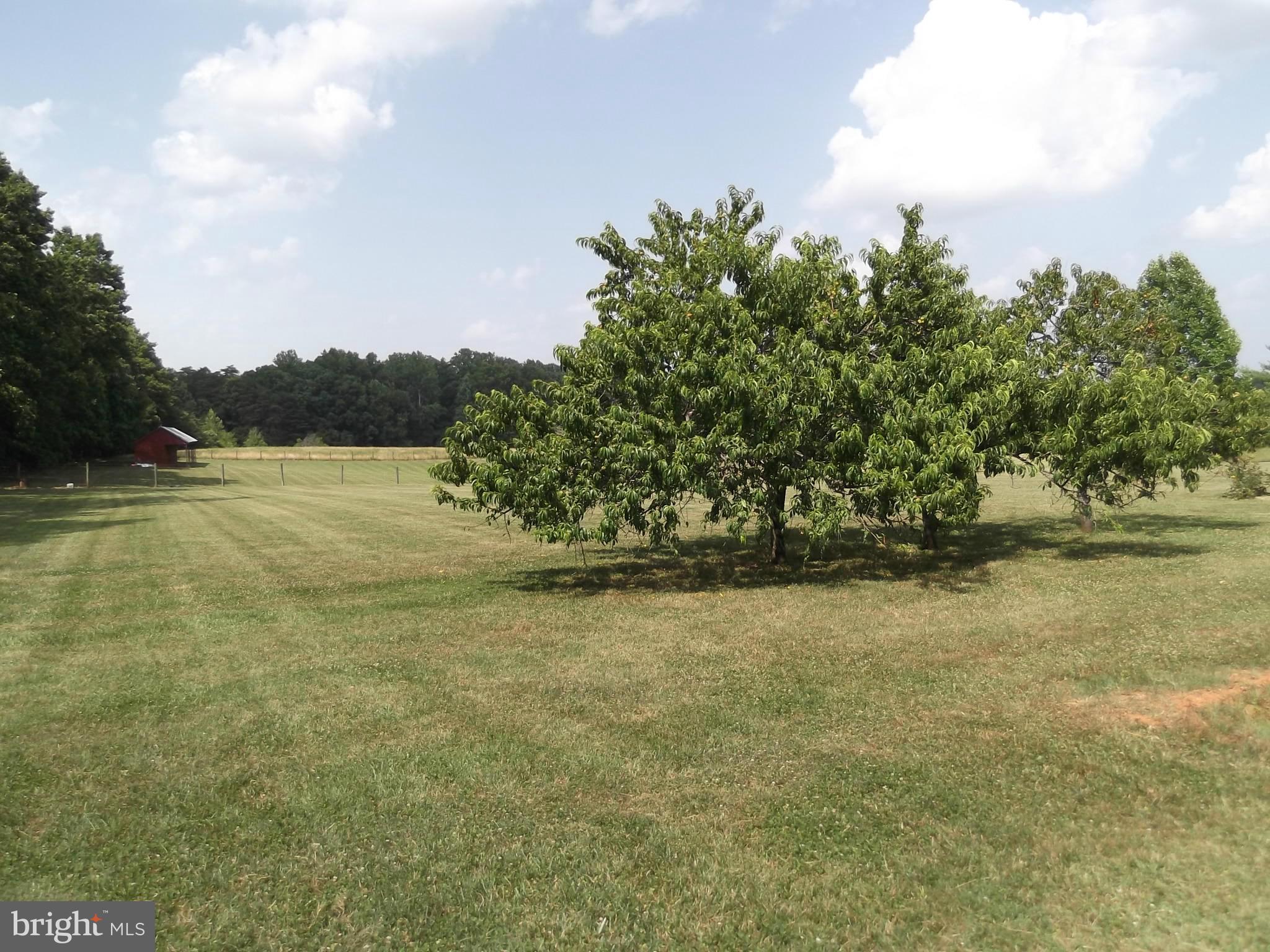 28249 Mine Run Road Rhoadesville, VA 22542 - Photo 3 of 26 Exterior (General)