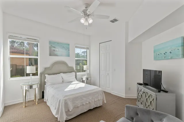 a view of a park with palm trees