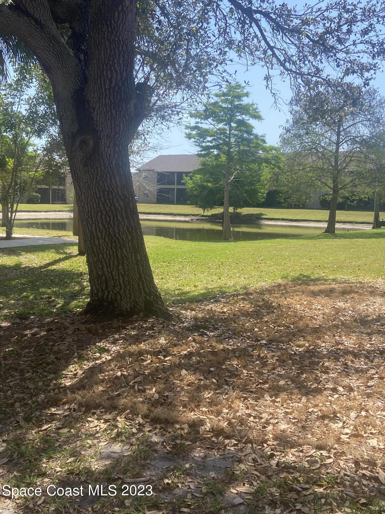290 Spring Drive, Unit 4 Merritt Island, FL 32953 - Photo 15 of 16 a view of a garden with large trees