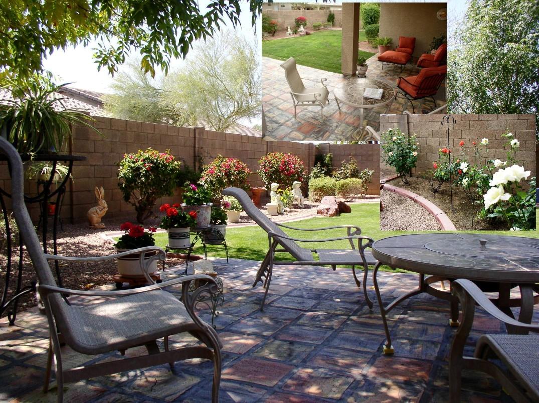 4411 East Briles Road Phoenix, AZ 85050 - Photo 3 of 13 Backyard