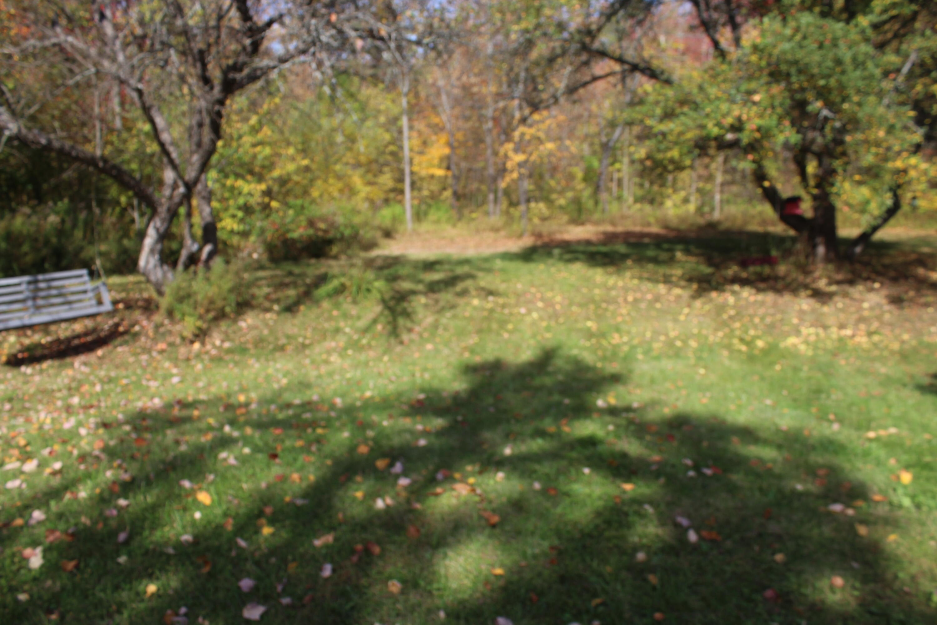 2081 County Road Ludlow, ME 04730 - Photo 20 of 29 IMG_7737