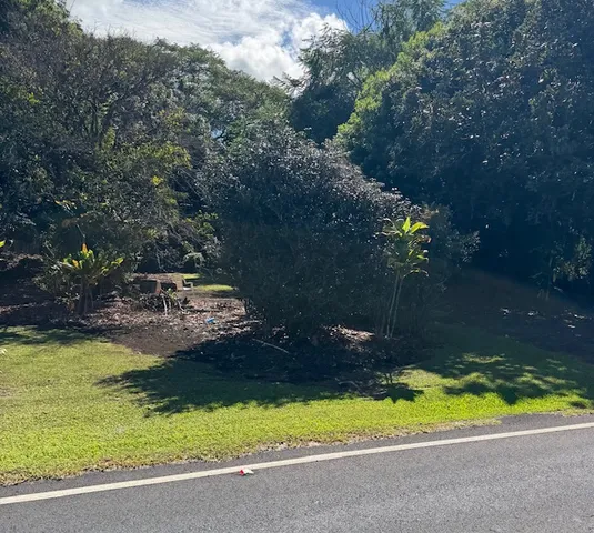 a view of swimming pool from a yard