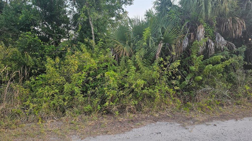 299 Popayan Street Punta Gorda, FL 33983 - Photo 1 of 1 Gallery Image 1