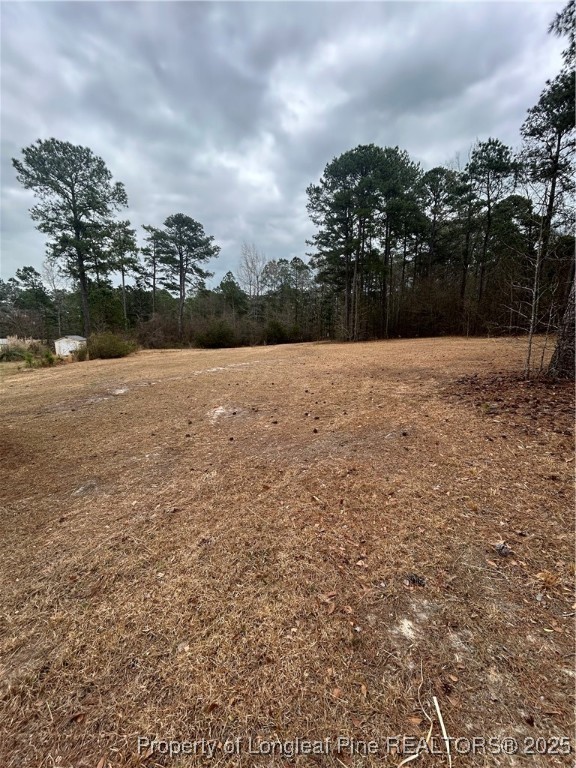 8890 Coats Road Linden, NC 28356 - Photo 7 of 8 Gallery Image 7