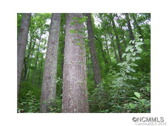 97 Williams Mountain Road Canton, NC 28716 - Photo 13 of 23 Gallery Image 13