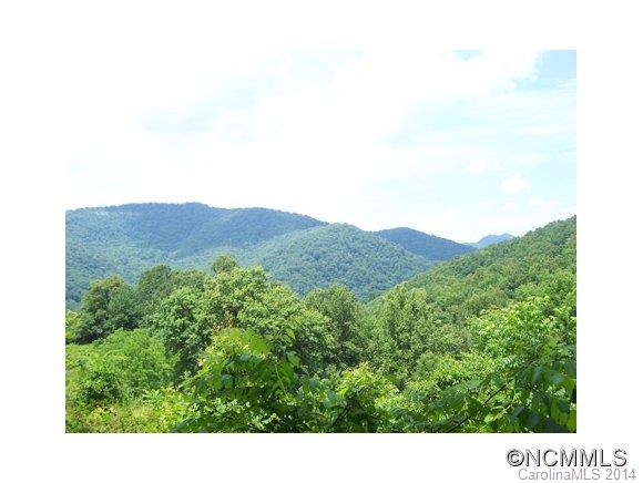 97 Williams Mountain Road Canton, NC 28716 - Photo 16 of 23 Gallery Image 16