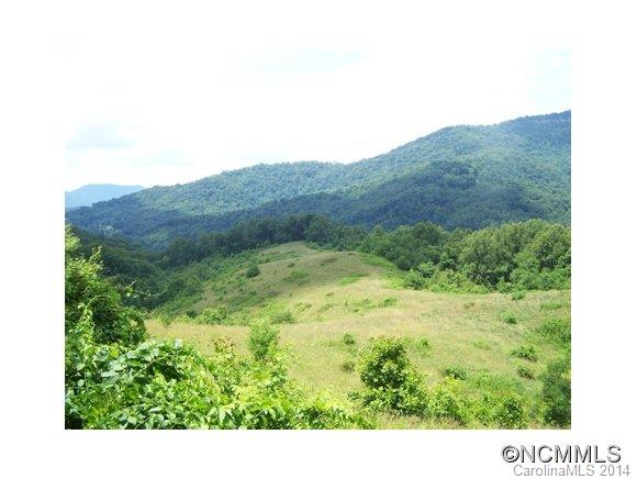 97 Williams Mountain Road Canton, NC 28716 - Photo 17 of 23 Gallery Image 17