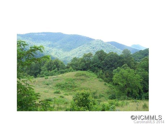 97 Williams Mountain Road Canton, NC 28716 - Photo 18 of 23 Gallery Image 18