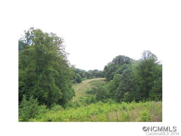 97 Williams Mountain Road Canton, NC 28716 - Photo 19 of 23 Gallery Image 19