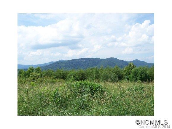 97 Williams Mountain Road Canton, NC 28716 - Photo 22 of 23 Gallery Image 22