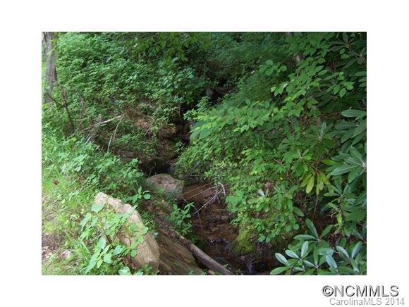 97 Williams Mountain Road Canton, NC 28716 - Photo 8 of 23 Gallery Image 8