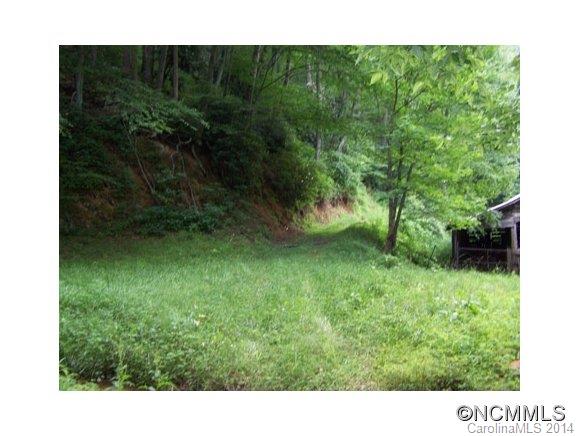 97 Williams Mountain Road Canton, NC 28716 - Photo 10 of 23 Gallery Image 10