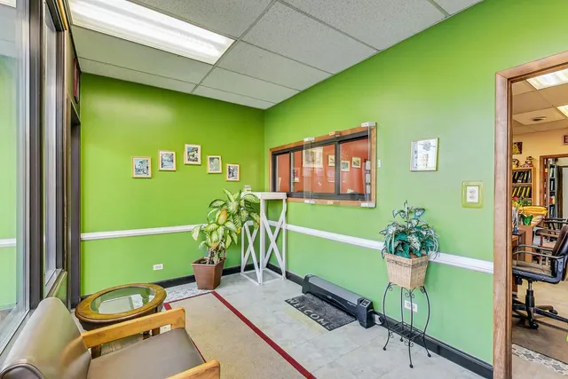 a room with furniture and a potted plant