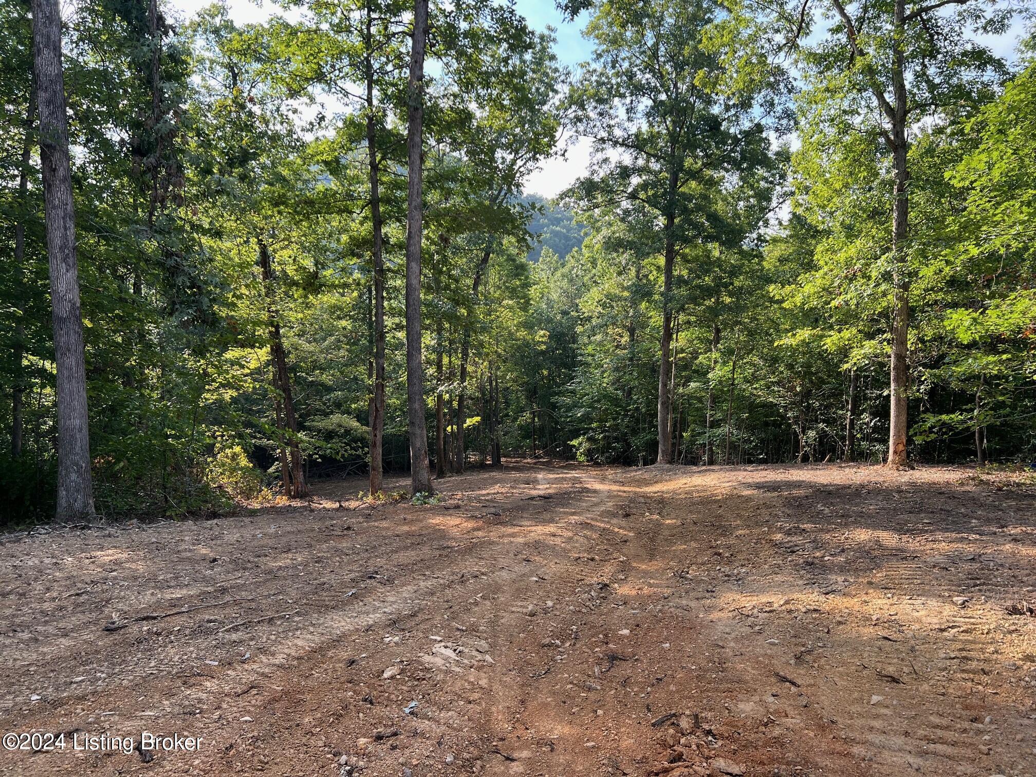 6 Sulphur Lick Road New Hope, KY 40052 - Photo 6 of 15 tract 6 sulfur lick