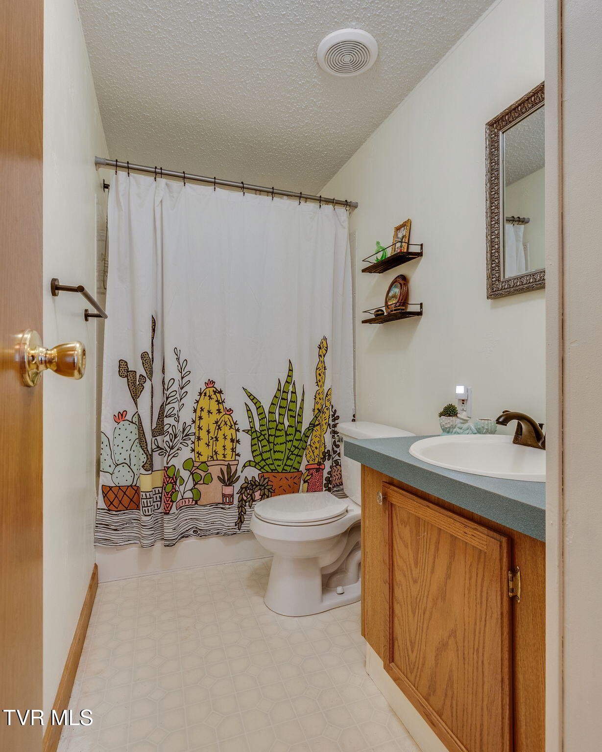 248 Jenkins Hollow Road Elizabethton, TN 37643 - Photo 18 of 25 018