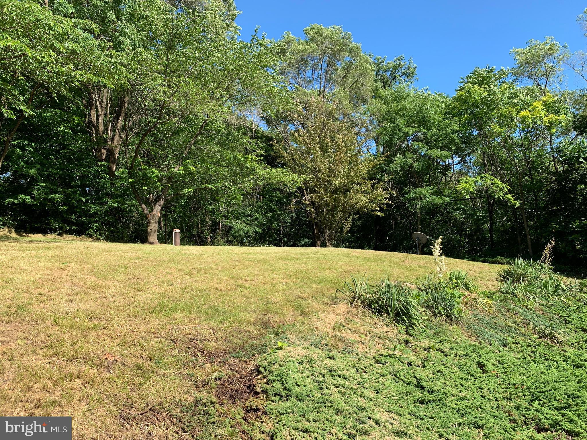 478 Round Hill Road Winchester, VA 22602 - Photo 6 of 27 Large Yard
