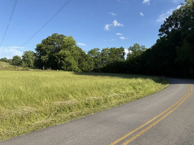 a view of a green yard next to a yard