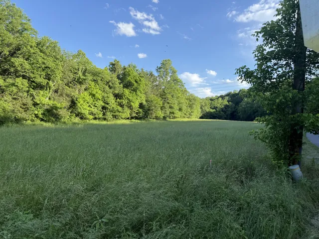 a view of a grassy field with trees in the background